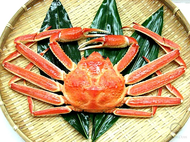 Snow crab (boiled)