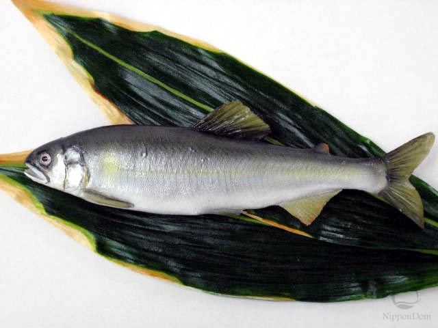 Sweetfish (23 cm)
