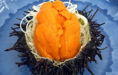 Sea urchin roe