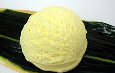Vanilla ice cream (14)