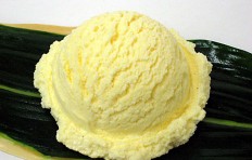 Vanilla ice cream (16)-3