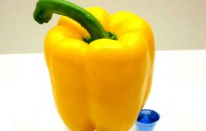 Yellow pepper (90/78mm)